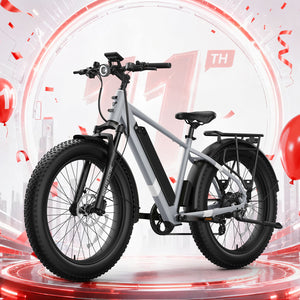 BQi Fat Tire 300 Off-Road Ebike (Step-over) Grey Speed 28mph | 50 miles