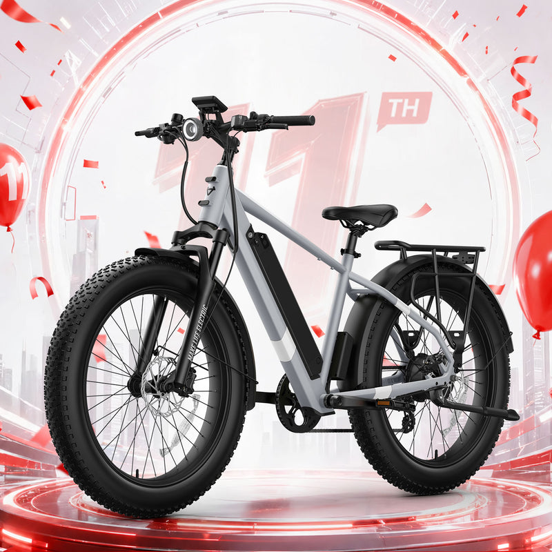BQi Fat Tire 300 Off-Road Ebike (Step-over) Grey Speed 28mph | 50 miles