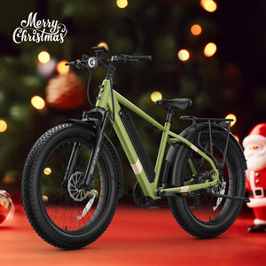 BQi Fat Tire 300 Off-Road Ebike (Step-over) Green Speed 28mph | 50 miles