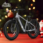 BQi Fat Tire 300 Off-Road Ebike (Step-over) Grey Speed 28mph | 50 miles