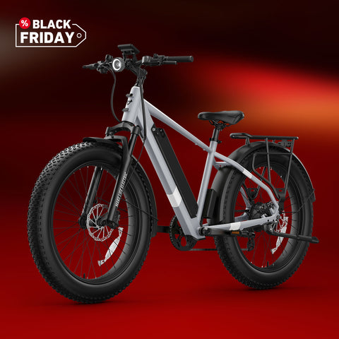 BQi Fat Tire 300 Off-Road Ebike (Step-over) Grey Speed 28mph | 50 miles