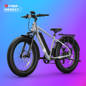 BQi Fat Tire 300 Off-Road Ebike (Step-over) Grey Speed 28mph | 50 miles