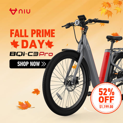 NIU BQi-C3 Pro Ebike Matte Black Speed 28mph | Range 90 miles