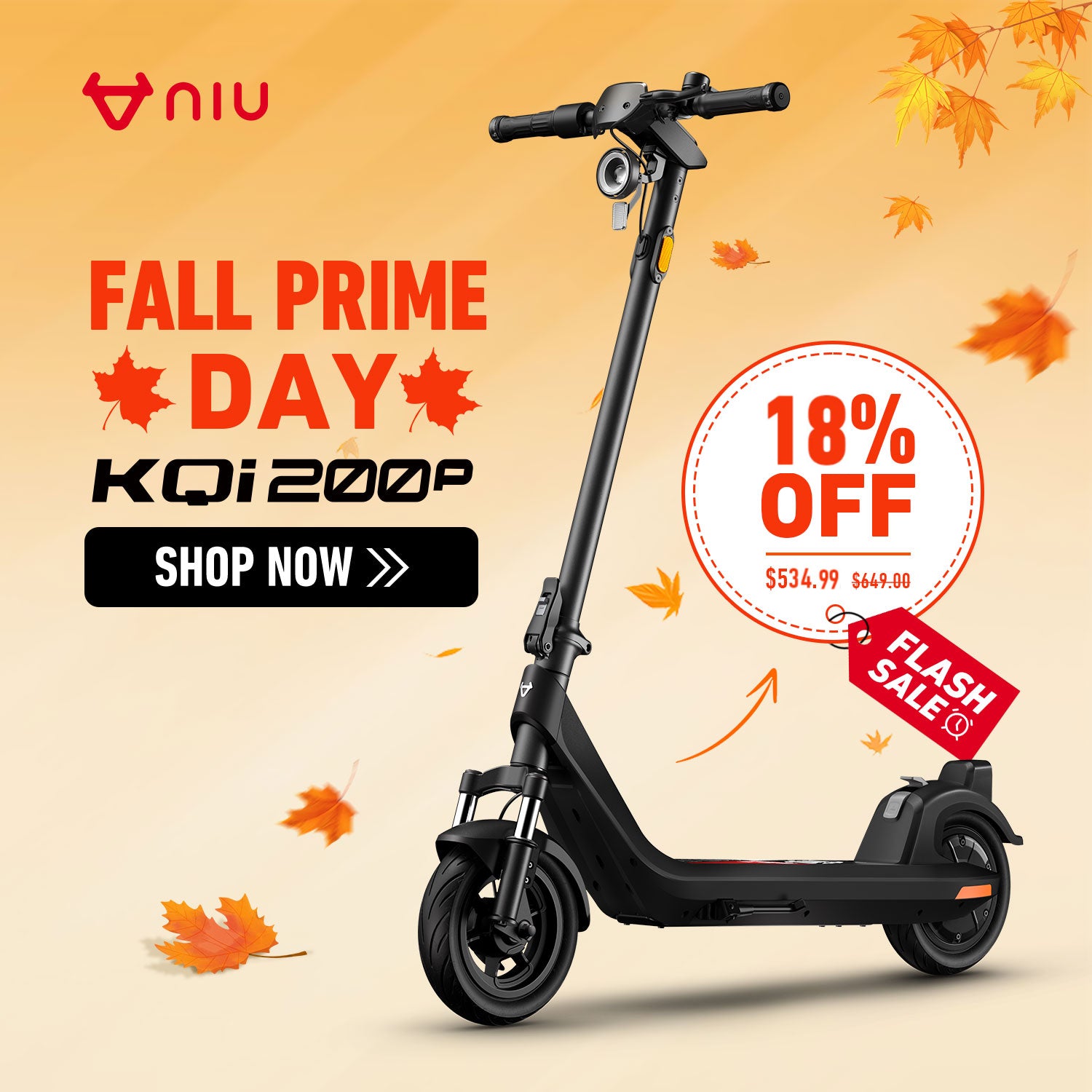NIU KQi 200P Electric Scooter with Suspension 20mph | Range 33.6 miles