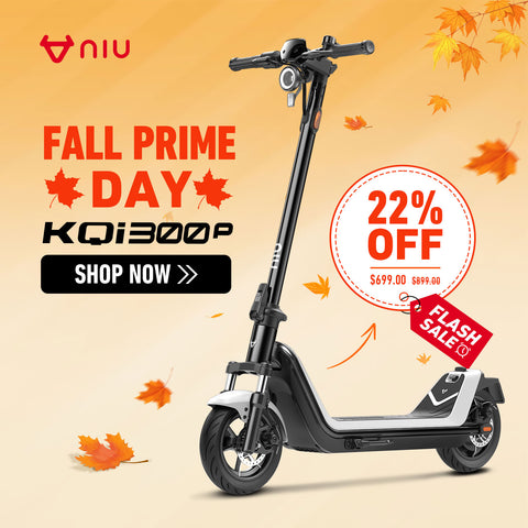 NIU KQi 300P All-Terrain Suspension Electric Scooter 20mph | Range 30 miles
