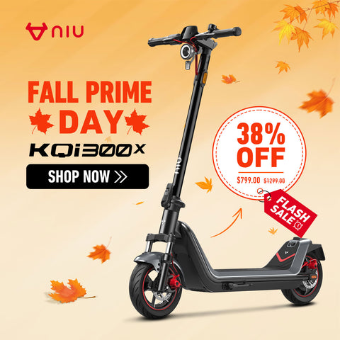 NIU KQi 300X All-Terrain Suspension Electric Scooter 20mph | Range 37.3 miles