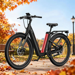 NIU BQi-C3 Pro Ebike Matte Black Speed 20mph | Range 90 miles