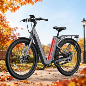 NIU BQi-C3 Pro Ebike Speed 20mph | Range 90 miles