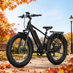 BQi Fat Tire 300 Off-Road Ebike (Step-over) Black Speed 20mph | 50 miles
