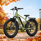 BQi Fat Tire 300 Off-Road Ebike (Step-over) Green Speed 20mph | 50 miles