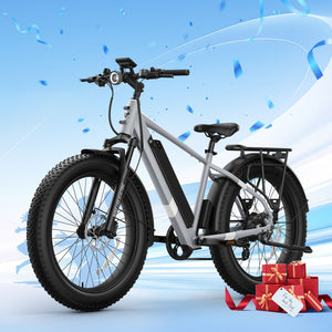 BQi Fat Tire 300 Off-Road Ebike (Step-over) Grey Speed 28mph | 50 miles