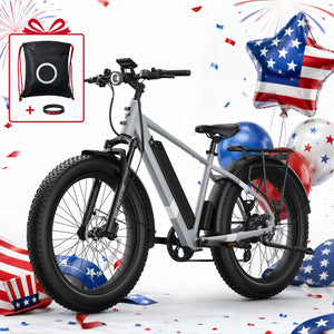 BQi Fat Tire 300 Off-Road Ebike (Step-over) Grey Speed 28mph | 50 miles