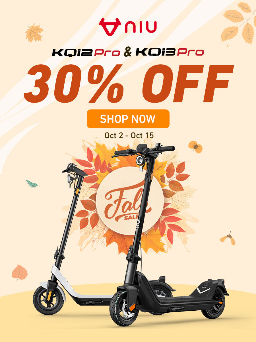 Electric Scooter Kqi3 Pro Rose Gold, Scooters