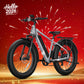 BQi Fat Tire 300 Off-Road Ebike (Step-over) Grey Speed 28mph | 50 miles