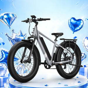 BQi Fat Tire 300 Off-Road Ebike (Step-over) Grey Speed 28mph | 50 miles