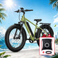 BQi Fat Tire 300 Off-Road Ebike (Step-over) Green Speed 28mph | 50 miles