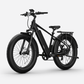 BQi Fat Tire 300 Off-Road Ebike (Step-over) Black Speed 28mph | 50 miles