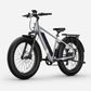 BQi Fat Tire 300 Off-Road Ebike (Step-over) Grey Speed 28mph | 50 miles