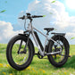 BQi Fat Tire 300 Off-Road Ebike (Step-over) Grey Speed 28mph | 50 miles