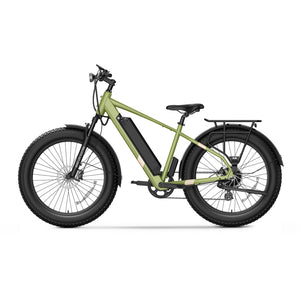 BQi Fat Tire 300 Off-Road Ebike (Step-over) Green Speed 28mph | 50 miles