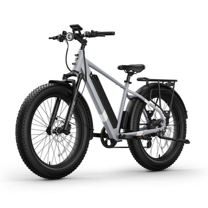 BQi Fat Tire 300 Off-Road Ebike (Step-over) Grey Speed 28mph | 50 miles