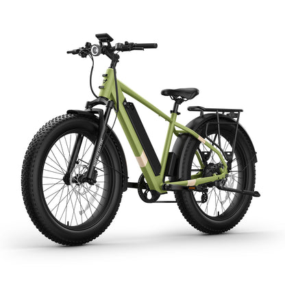 BQi Fat Tire 300 Off-Road Ebike (Step-over) Green Speed 28mph | 50 miles