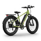 BQi Fat Tire 300 Off-Road Ebike (Step-over) Green Speed 28mph | 50 miles