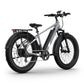 BQi Fat Tire 300 Off-Road Ebike (Step-over) Grey Speed 28mph | 50 miles